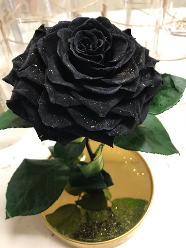 Florist «Hills Floral», reviews and photos, 1166 S Robert St, West St Paul, MN 55118, USA