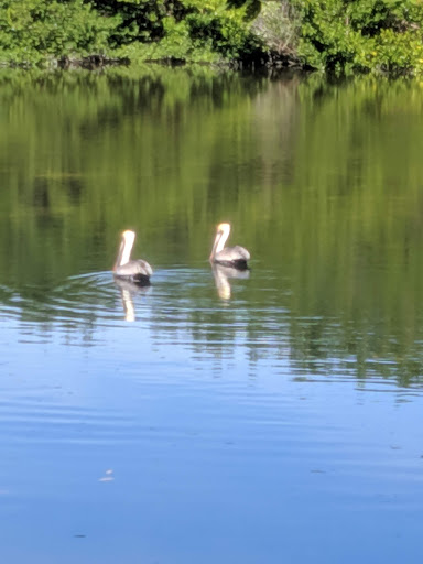 Nature Preserve «Big Cypress National Preserve», reviews and photos