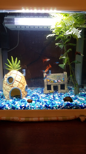 Pet Supply Store «Petco Animal Supplies», reviews and photos, 1090 Fort Union Blvd, Midvale, UT 84047, USA