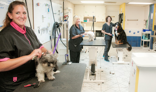 Pet Groomer «The Pet Bow-Tique», reviews and photos, 47 S Central Ave, Oviedo, FL 32765, USA