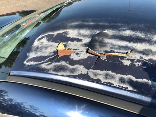 Auto Body Shop «Executive Collision Center», reviews and photos, 1194 N Colony Rd, Wallingford, CT 06492, USA