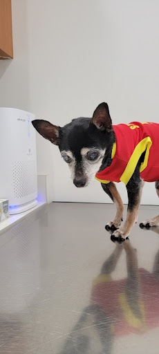 Animal Hospital «Blue Cross Pet Hospital», reviews and photos