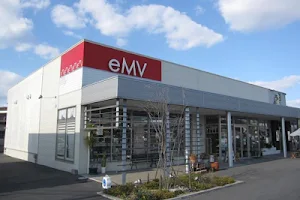 eMV image