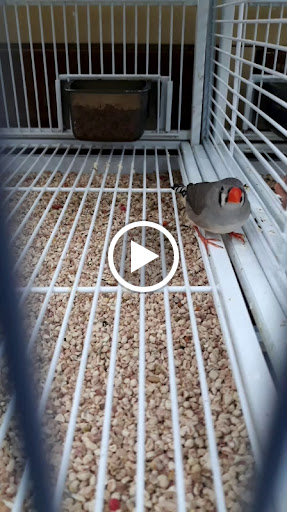 Pet Supply Store «Pet Supermarket», reviews and photos, 501 Cypress Gardens Blvd, Winter Haven, FL 33880, USA