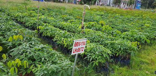 Top 20 cửa hàng online Huyện Phú Riềng Bình Phước 2022