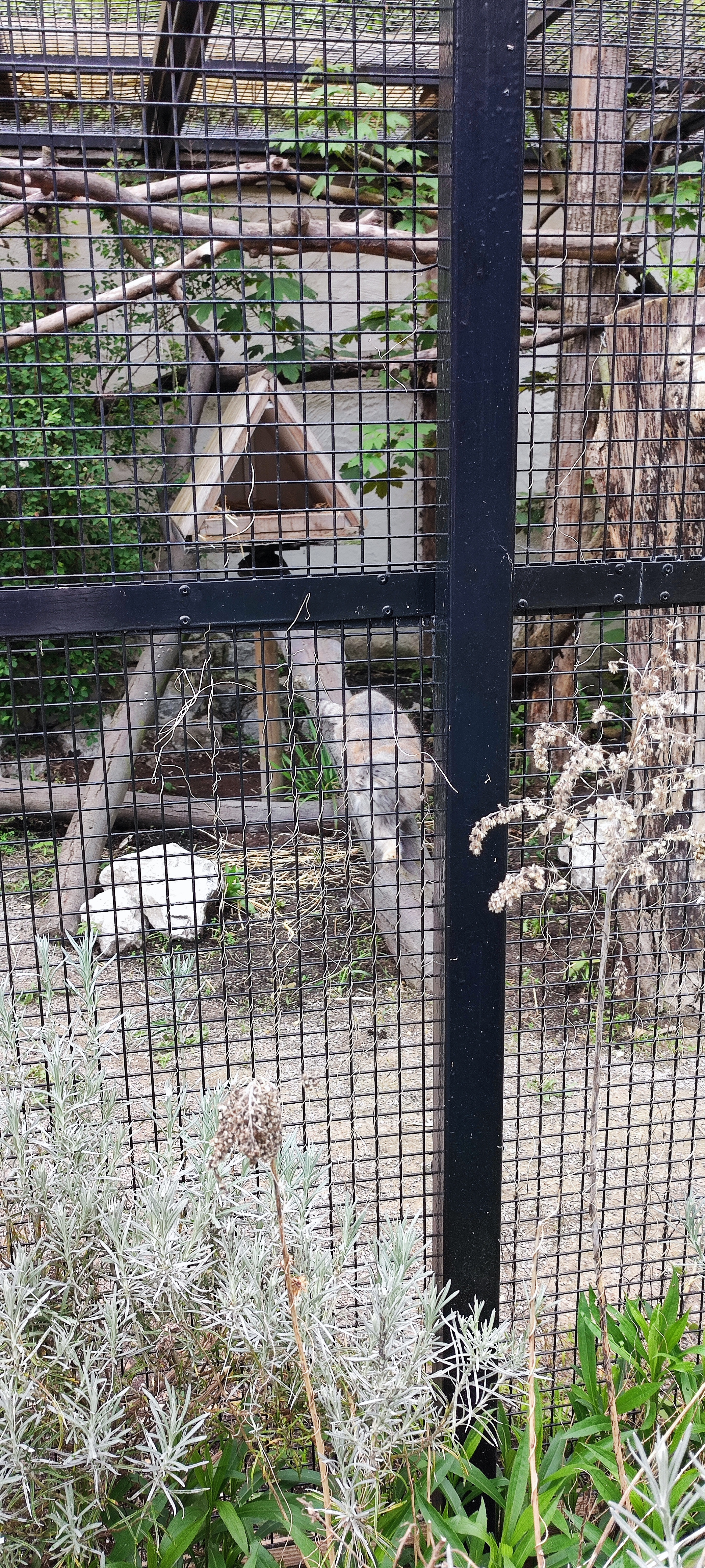 Photo n° 9 de l'avis de Nadia. fait le 29/04/2023 à 16:51