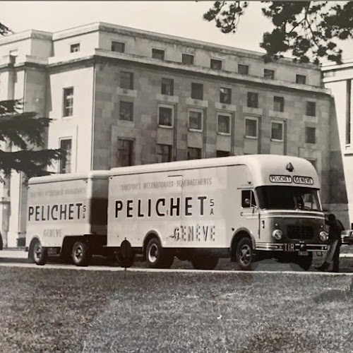 PELICHET NLC SA - Vernier