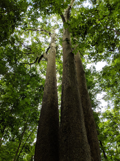 Nature Preserve «Sweedler and Thayer Preserves», reviews and photos, 10 Townline Rd, Ithaca, NY 14850, USA