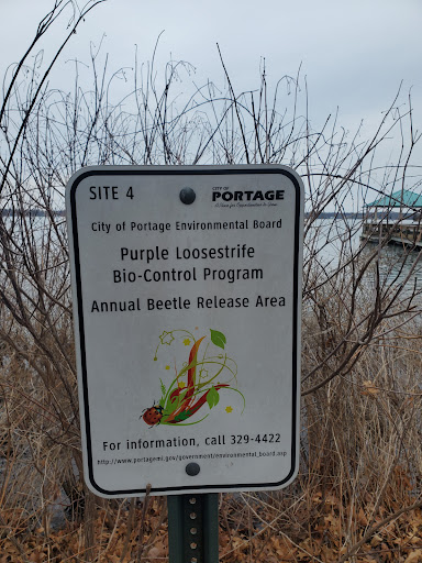 Park «Lakeview Park», reviews and photos, 9345 Portage Rd, Portage, MI 49002, USA