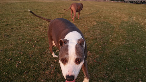 Park «Cravens Park», reviews and photos, 400 Cravens Park Dr, Arlington, TX 76018, USA