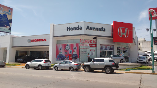 Honda Avenida