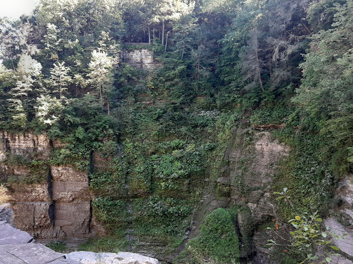 Tour Agency «Experience! The Finger Lakes», reviews and photos, 501 Warren Rd, Ithaca, NY 14850, USA