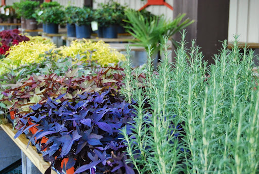 Home Improvement Store «Russell Do it Center - Prattville, AL», reviews and photos, 2006 Cobbs Ford Rd, Prattville, AL 36066, USA