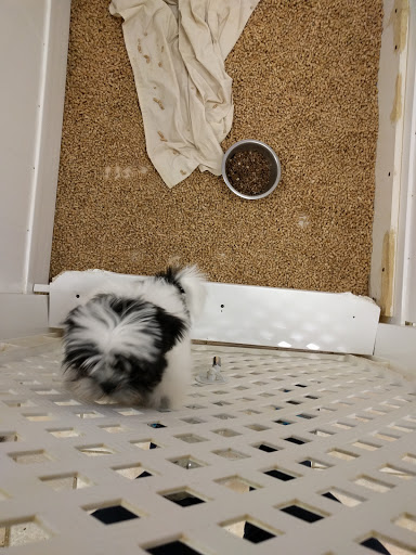 Pet Store «The Pet Shoppe», reviews and photos, 1284 NJ-35, Middletown, NJ 07748, USA