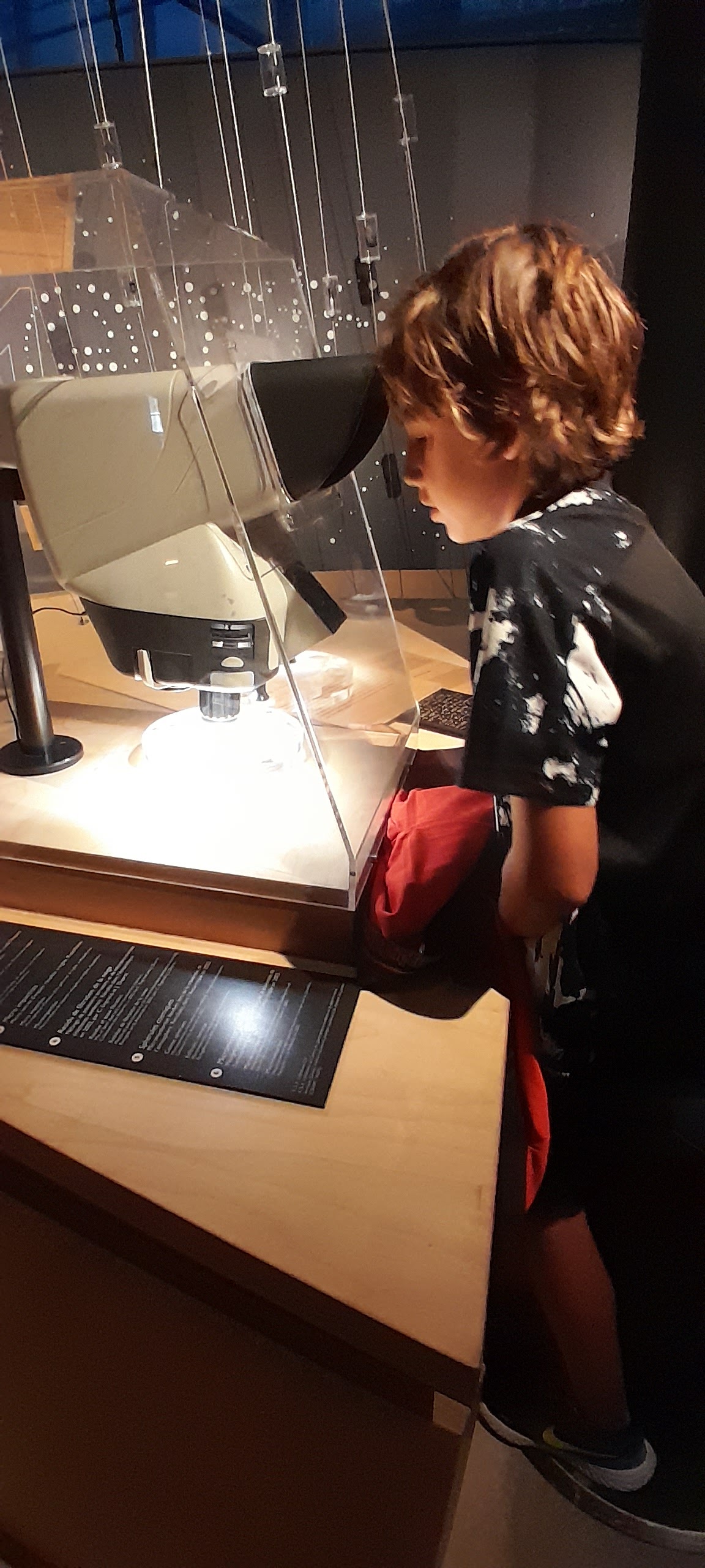 Photo n° 4 de l'avis de Nana.n fait le 02/10/2023 à 06:43