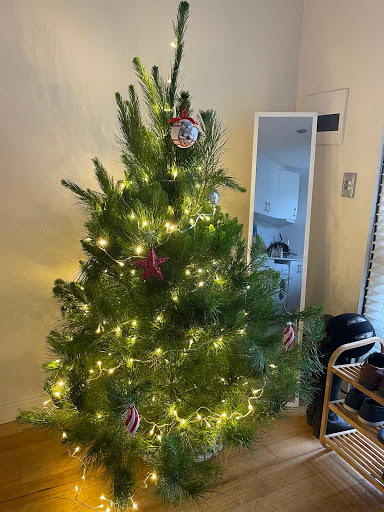 Wilbury's Traditional Christmas Trees