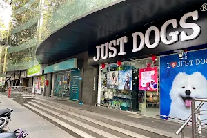 JUSTDOGS - Pet Store & Spa | Kalyani Nagar, Pune image
