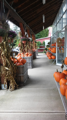 Produce Market «E Draghi & Son Farm Stand», reviews and photos, 86 Main St, South Glastonbury, CT 06073, USA