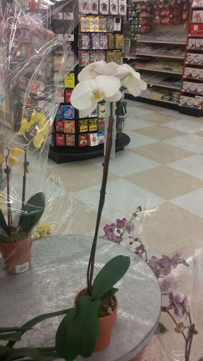 Supermarket «Lucky», reviews and photos, 2000 Portola Ave, Livermore, CA 94551, USA