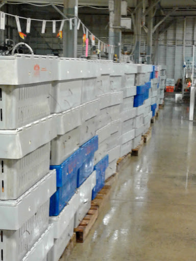 Freight Forwarding Service «Casco Bay Lines», reviews and photos, 56 Commercial St, Portland, ME 04101, USA