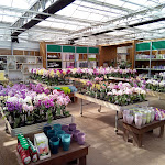 Photo n°15 de l'avis de Urlaubsfreund. fait le 25/05/2019 à 17:36 sur le  Gartencenter Rosengut Langerwisch GmbH&Co.KG à Michendorf