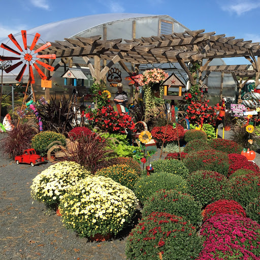 Grocery Store «Country Lane Market & Pantry», reviews and photos, 1642 16th St, Barron, WI 54812, USA