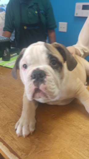 Pet Store «Everything Pet», reviews and photos, 3616 N Fry Rd, Katy, TX 77449, USA