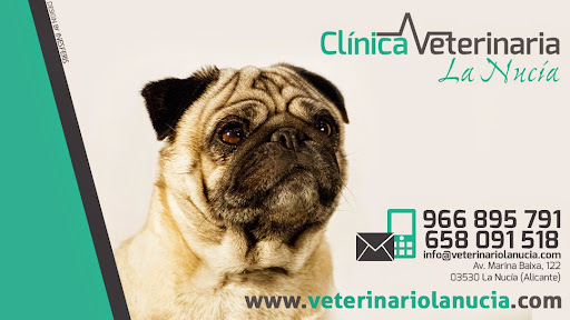 Clínica Veterinaria La Nucia