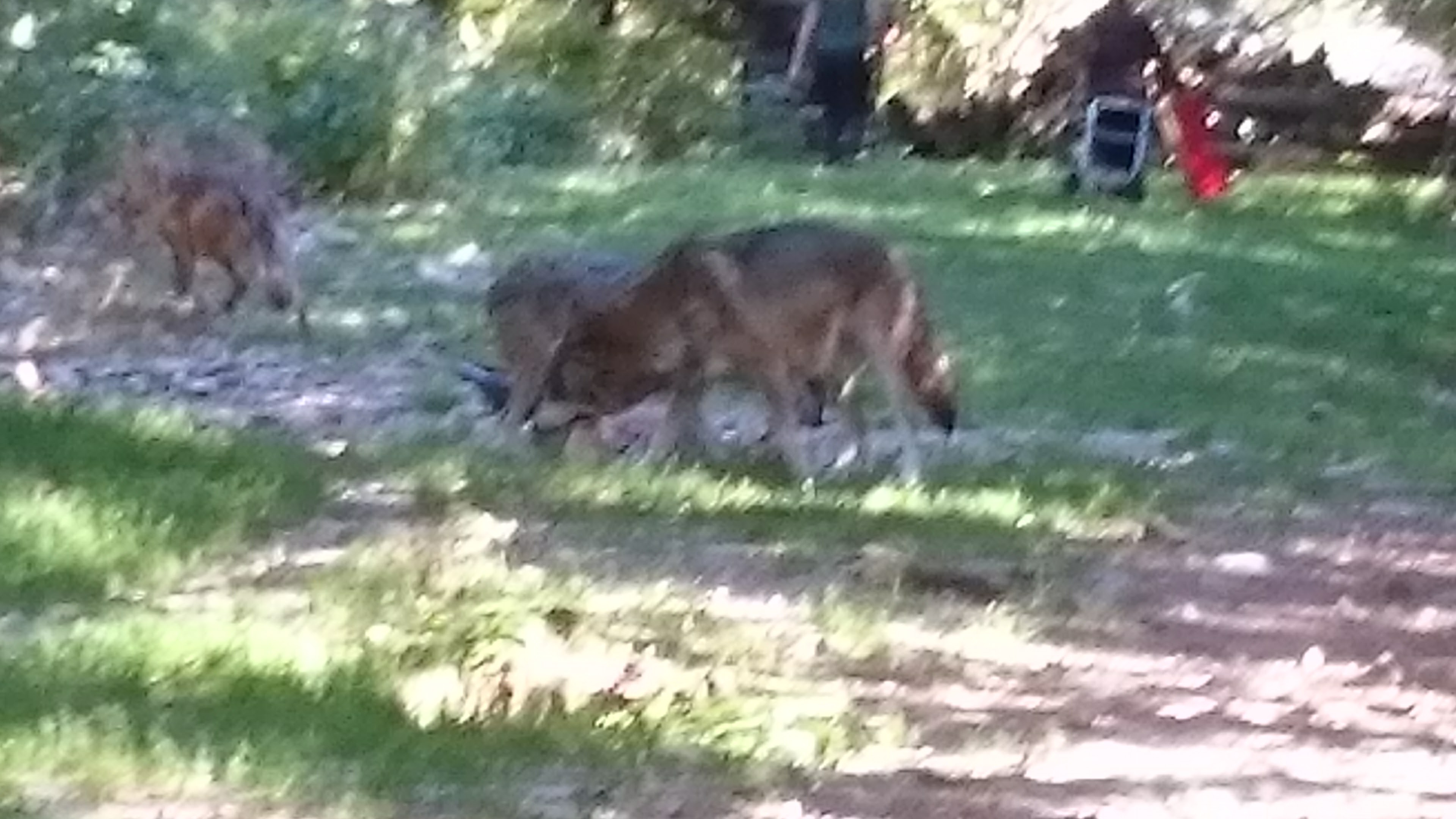 Photo n° 1 de l'avis de Christine.r fait le 16/09/2017 à 05:41