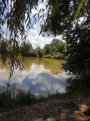 Etang de Bel Air Bracieux à Bracieux