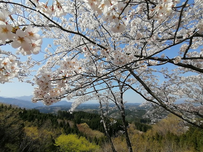 御嶽桜ロード