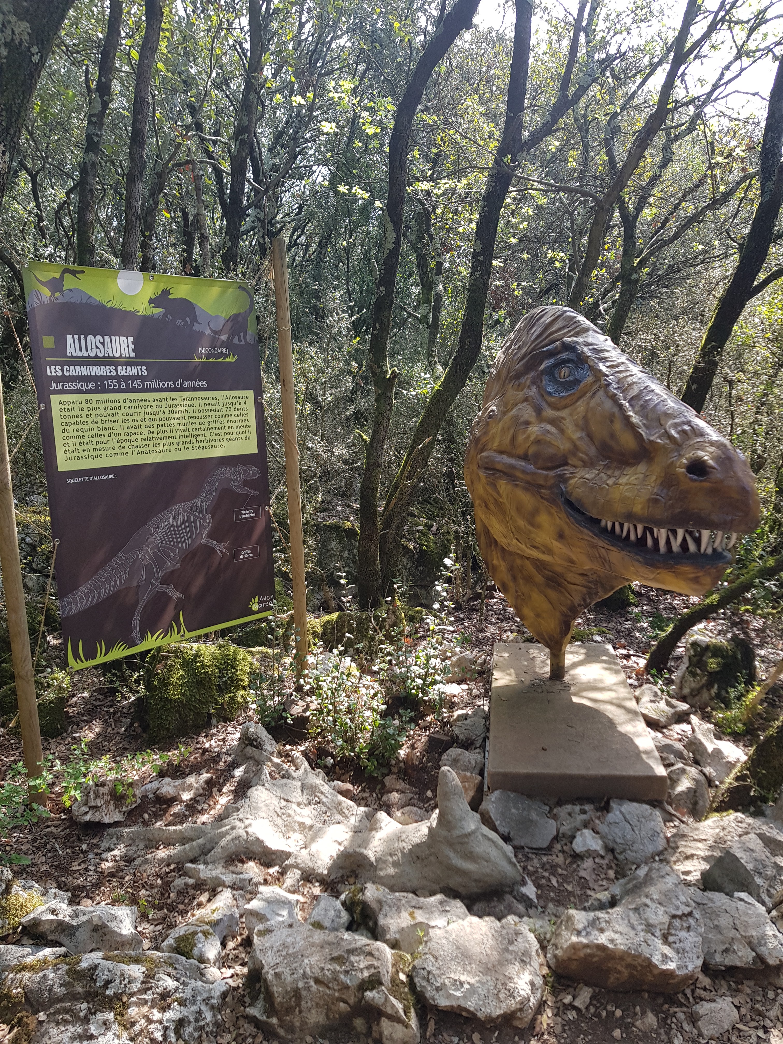 Photo n° 3 de l'avis de Etienne.H fait le 19/04/2019 à 14:16