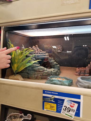 Pet Supply Store «PetSmart», reviews and photos, 10697 E US Hwy 36, Avon, IN 46123, USA