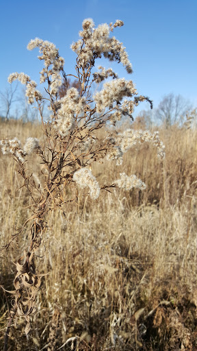 Nature Preserve «Orland Grassland», reviews and photos, 167th Street & S La Grange Road, Tinley Park, IL 60487, USA