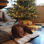 Photo n°3 de l'avis de Christian.c fait le 11/12/2022 à 15:10 sur le  Faehrhaus Mitling Mark à Westoverledingen