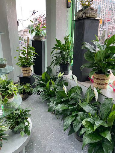 Florist «Larrys Florist», reviews and photos, 662 Anderson Ave, Cliffside Park, NJ 07010, USA