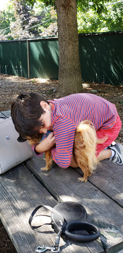 Park «Medway Dog Park», reviews and photos, 298 Village St, Medway, MA 02053, USA