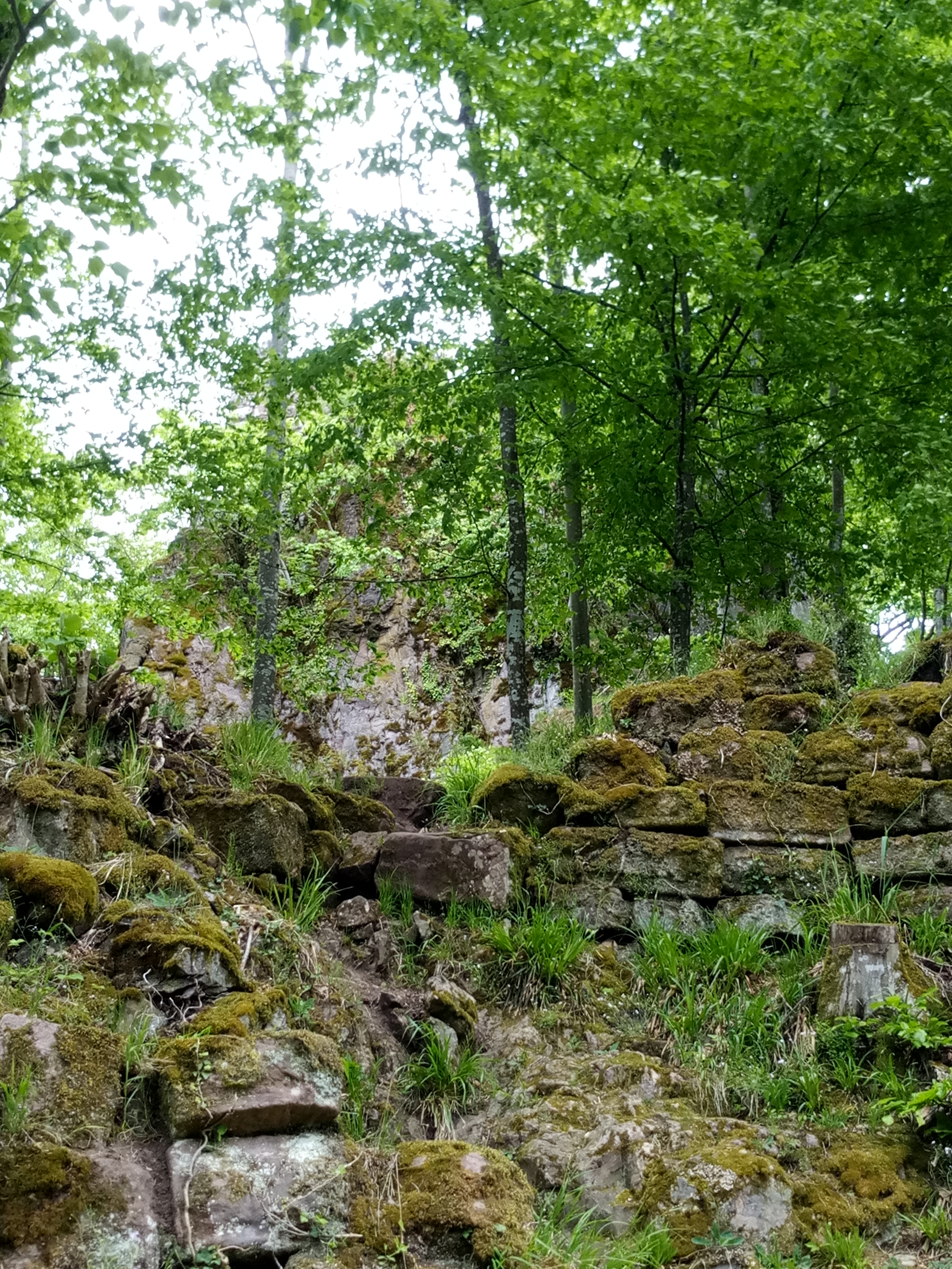 Photo n° 2 de l'avis de Sylvain.a fait le 30/04/2018 à 13:05