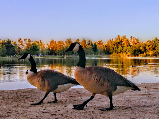 Tourist Attraction «Legg Lake», reviews and photos, 750 S. Santa Anita Avenue, South El Monte, CA 91733, USA