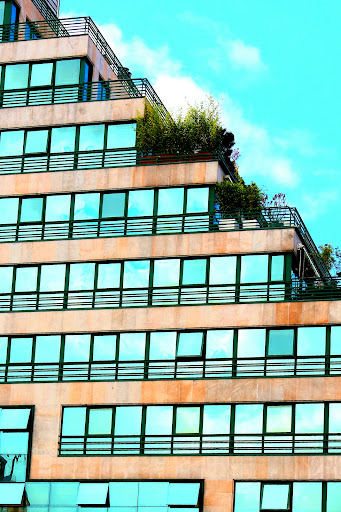 Alianza Francesa de Vigo, Escuela de idiomas en Vigo,Pontevedra