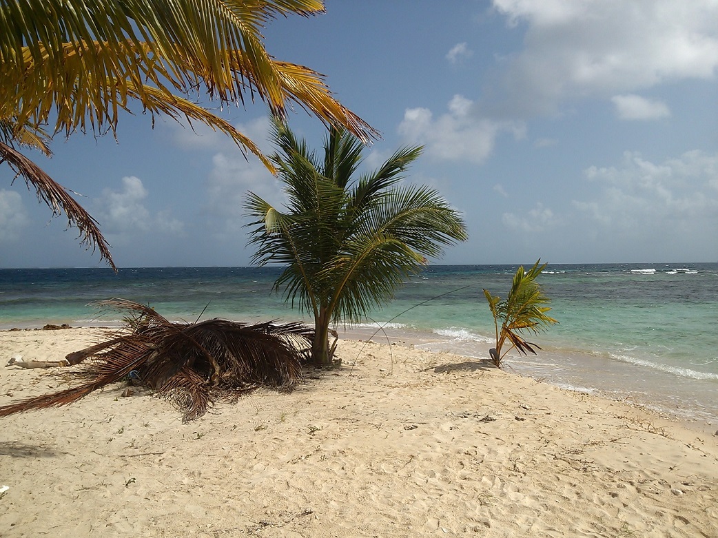 Foto van Iguana island beach met hoog niveau van netheid