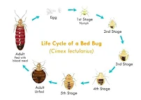 G & G Exterminating Service - Car repair in , South Fulton - Rated 5.0/5