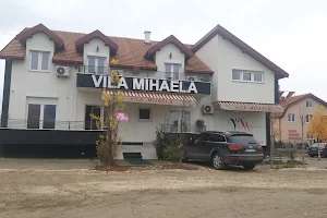 Vila Mihaela image