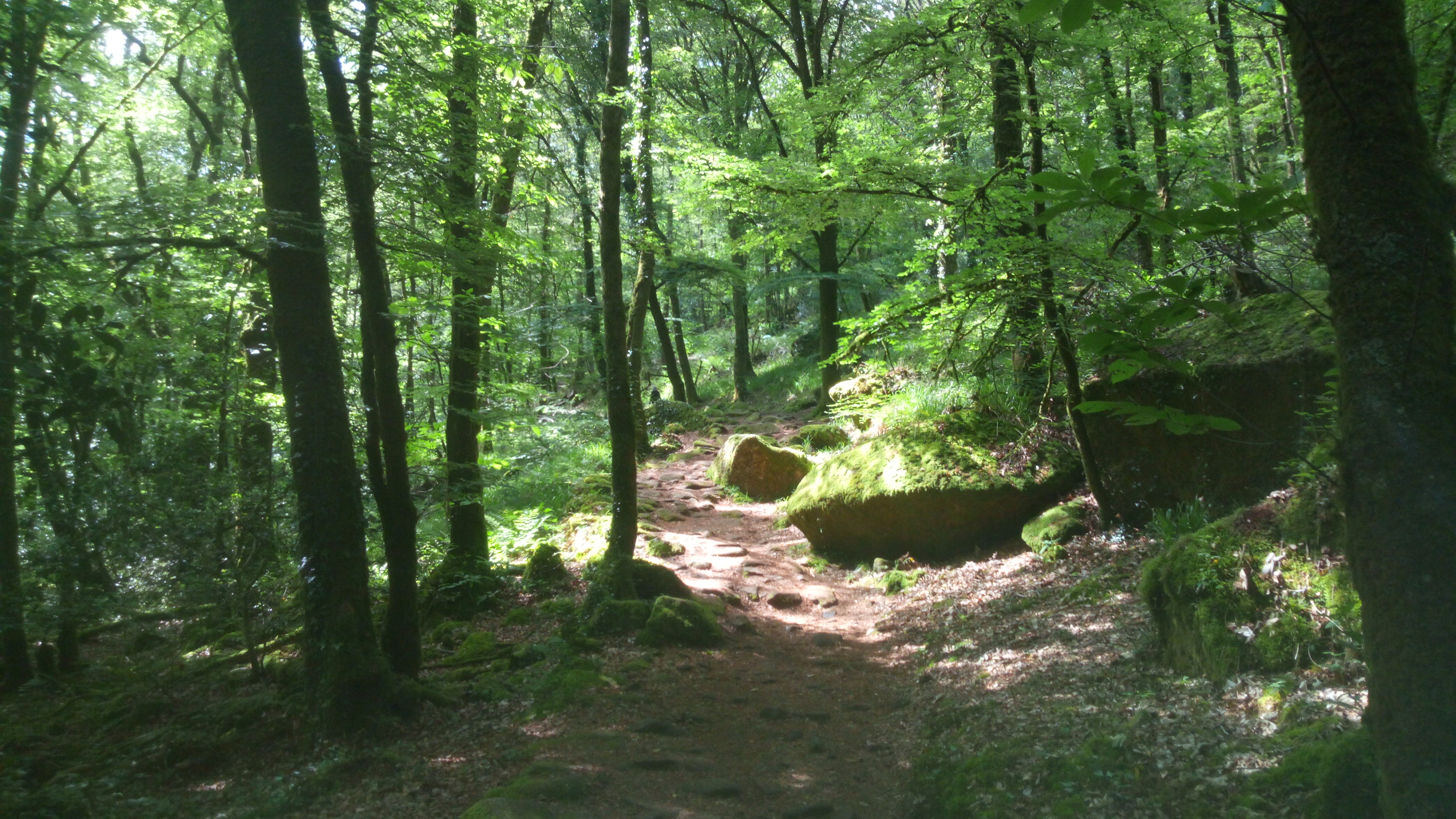 Photo n° 6 de l'avis de Pat.o fait le 01/06/2019 à 07:38