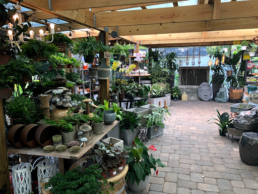 Stores to buy indoor plants Orlando