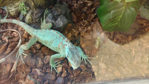 Pet Supply Store «Petco Animal Supplies», reviews and photos, 2420 Eastern Blvd, York, PA 17402, USA