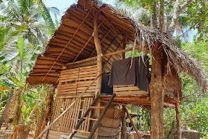 Mango Tree Homestay & Hostel image