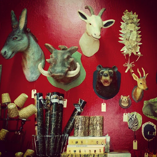 Gift Shop «Heebe Jeebe General Store», reviews and photos, 46 Kentucky St, Petaluma, CA 94952, USA