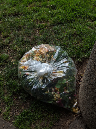 Park «South Park Blocks», reviews and photos, SW Park Ave, Portland, OR 97204, USA