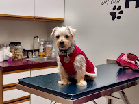 Siouxland Animal Hospital - Photo 8 - Car repair in Sioux City, IA, Sioux City